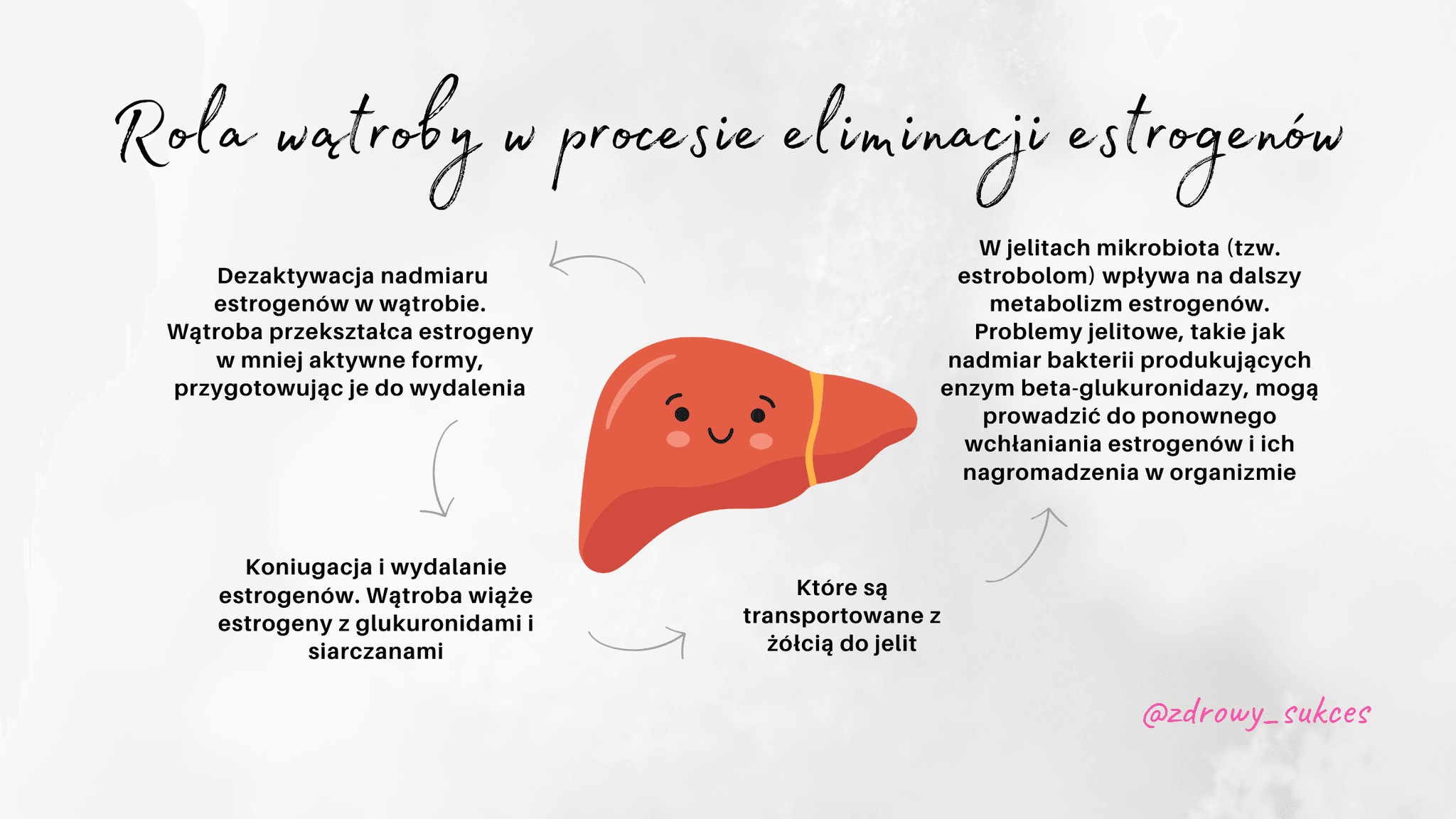 Obraz przedstawia wątrobą oraz jej rolę w procesie eliminacji estrogenów. Obrazek wykonała Patrycja Marszalec dla jej szkolenia o zapaleniu endometrium.
