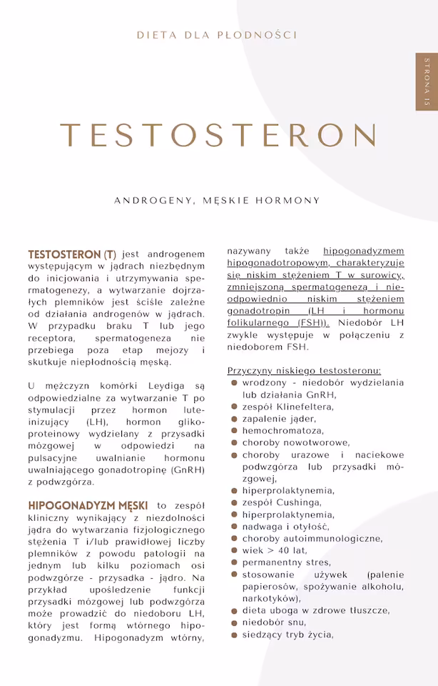 Zdjęcie produktu Dieta i kompendium w niepłodności mężczyzn