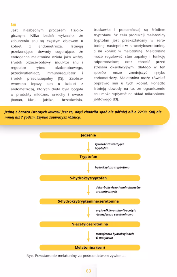 Zdjęcie produktu ENDO e-BOOK 3.0